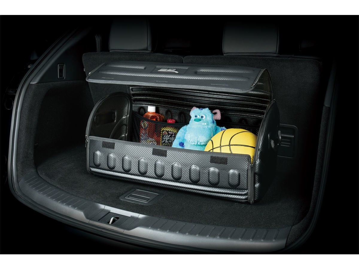3D Handy Trunk Storage Unit