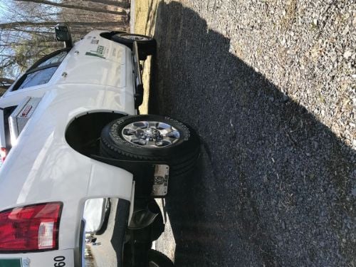 Truck Hardware Gatorback 12"x23" Gunmetal RAM Head Cut Mud Flaps customer photo