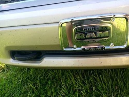 Truck Hardware License Plate - RAM Longhorn customer photo