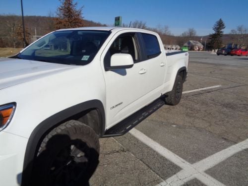 Go Rhino Dominator D6 Side Steps customer photo