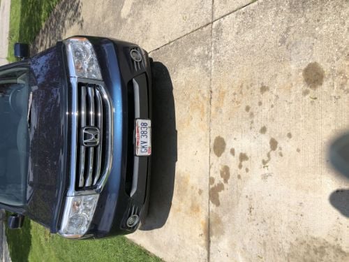 WeatherTech Stone & Bug Deflectors customer photo