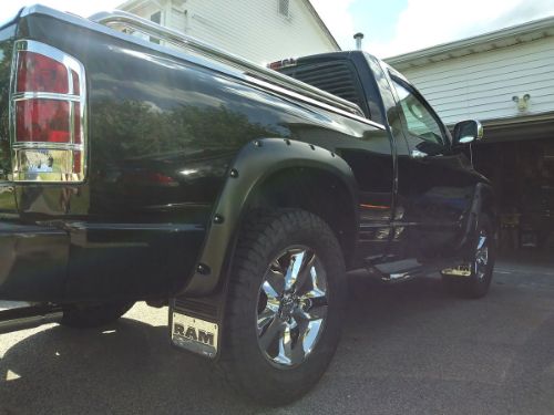 Truck Hardware Gatorback 12"x23" RAM Text Mud Flaps customer photo