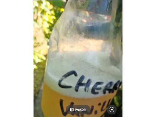Due North Concentrated Air Freshener - Vanilla - 32 oz customer photo