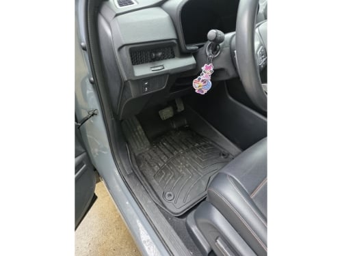 WeatherTech FloorLiners HP customer photo