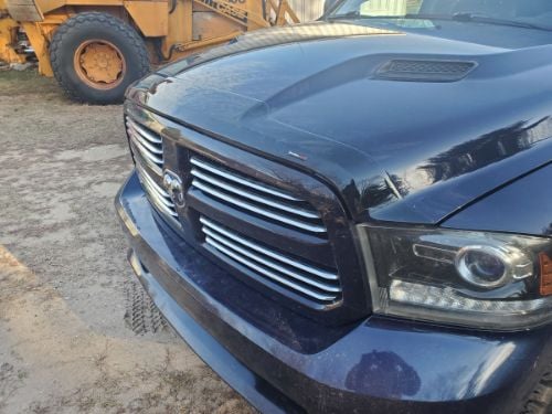 WeatherTech Hood Skins customer photo